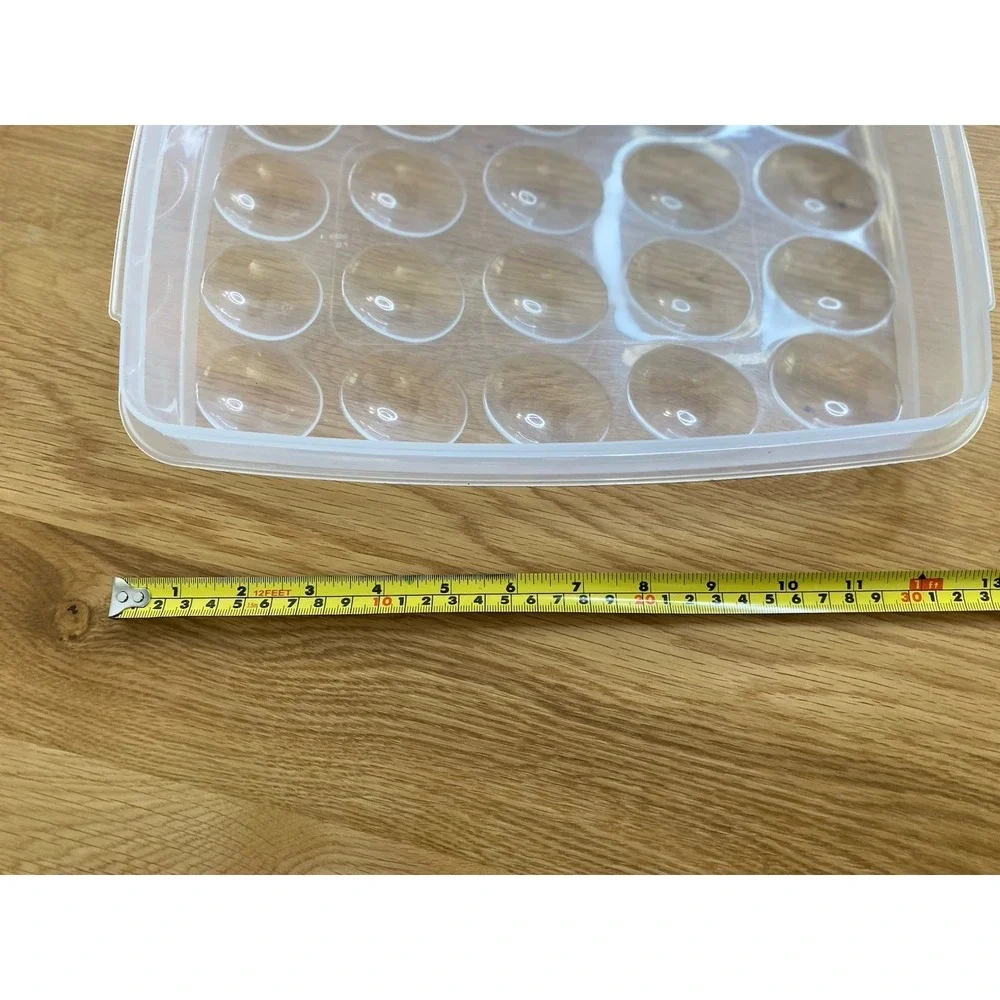 Rubbermaid Deviled Egg Container Holds‎ 20 eggs